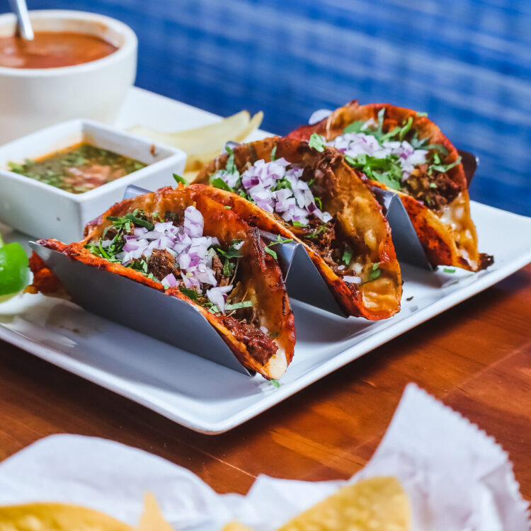 Birria taco plate