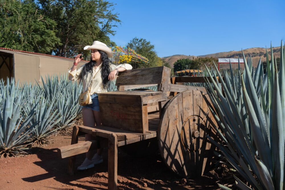 TheYoungWomanIsInTheAgaveFieldInTequila