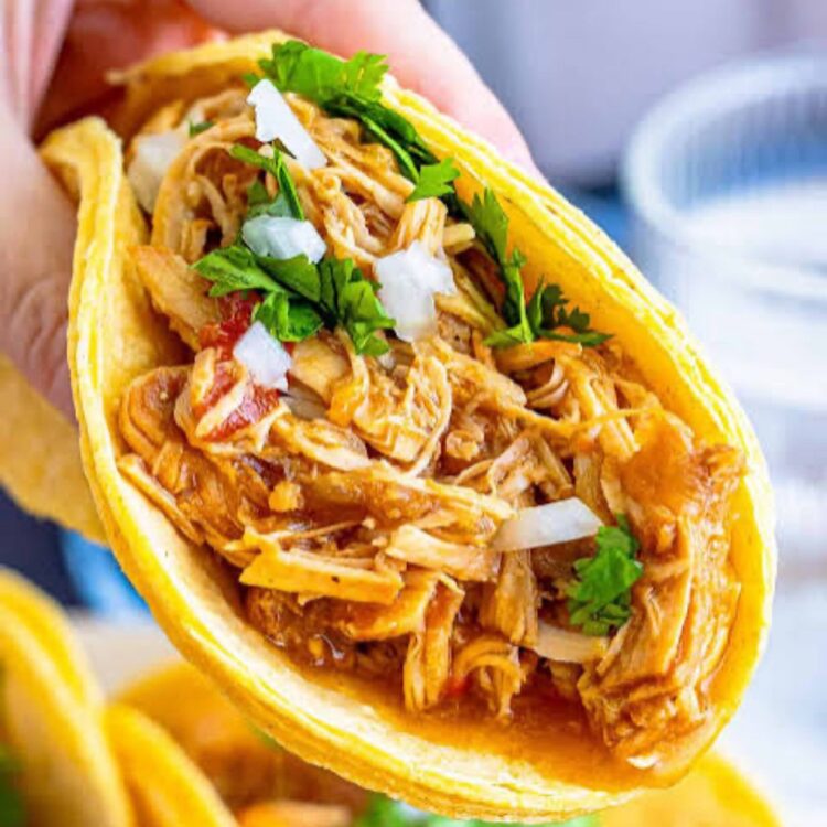 Shredded Chicken Tacos