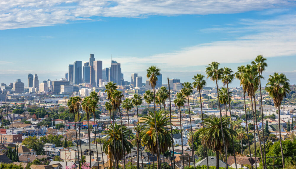 Cloudy,Day,Of,Los,Angeles,Downtown,Skyline,And,Palm,Trees