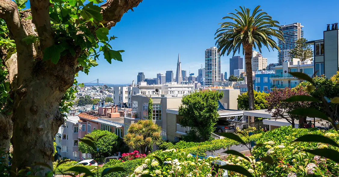 city - San Francisco, CA