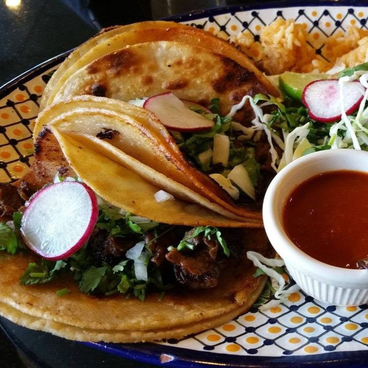Two soft corn tacos filled with beef, cilantro, onions, and melted cheese, topped with radish slices, on a patterned plate with a side of red salsa.