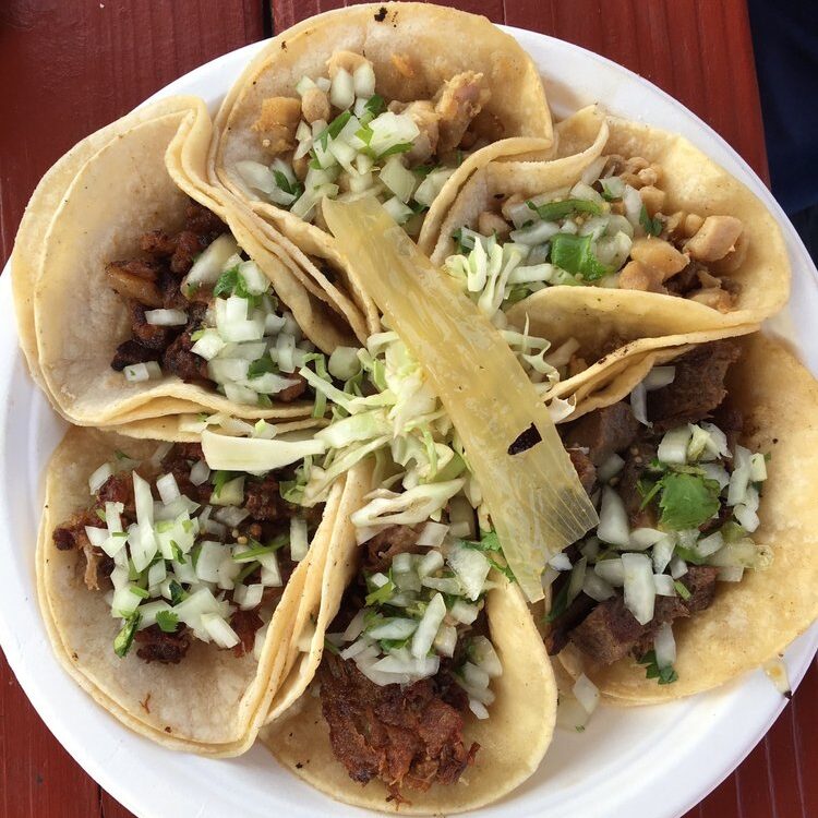 Plate of soft corn tacos filled with meat, topped with diced onion and cilantro, and a sliced jalape&ntilde;o in the center.