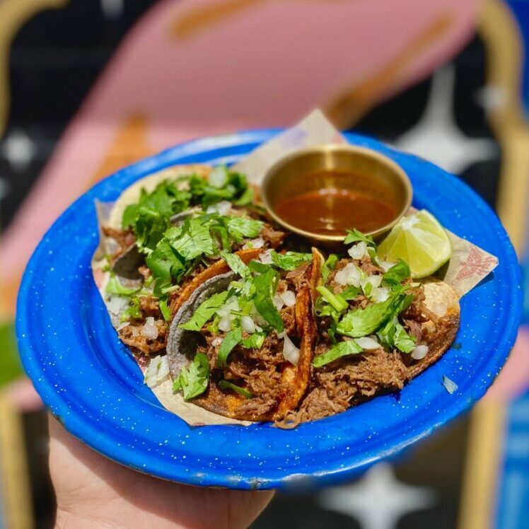 Duck Carnitas Tacos