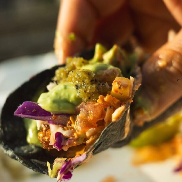 Grilled Soyrizo Taco