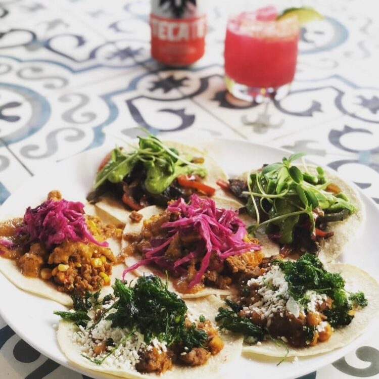 Plate of tacos