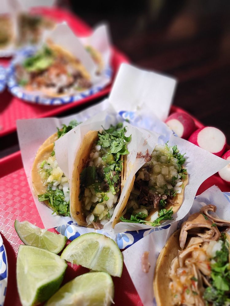 Tacos El Gordo