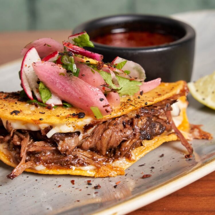 Birria Taco