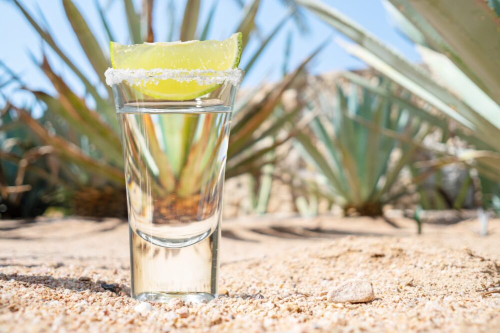Tequila,Shot,Or,Mezcal,Shot,With,Salt,On,Edge,Of